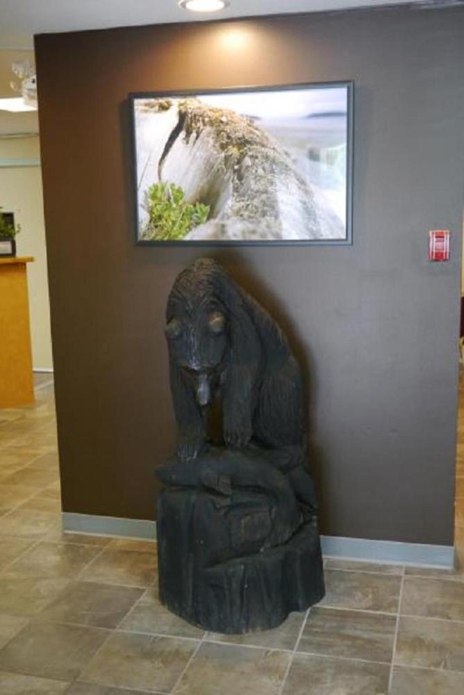 Airport Inn Port Hardy Kültér fotó